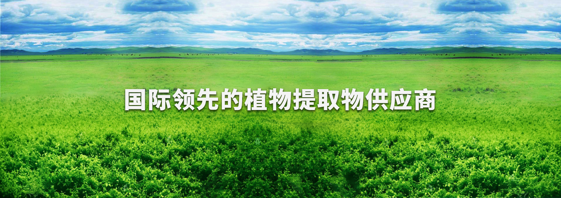 918.com(中国区)官方网站