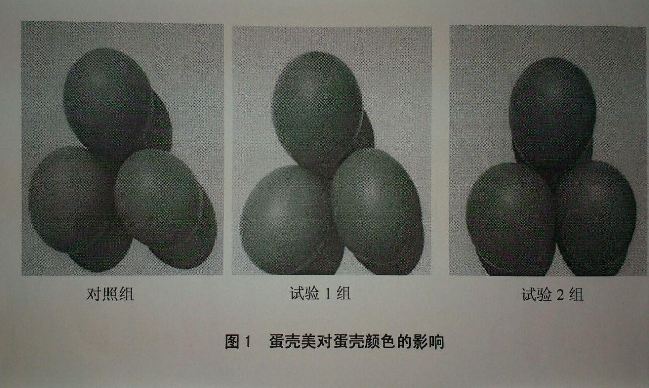 918.com(中国区)官方网站