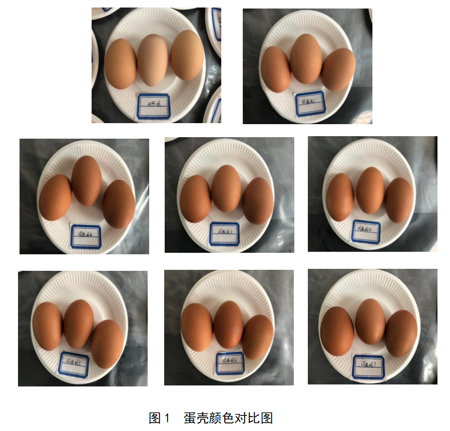 918.com(中国区)官方网站