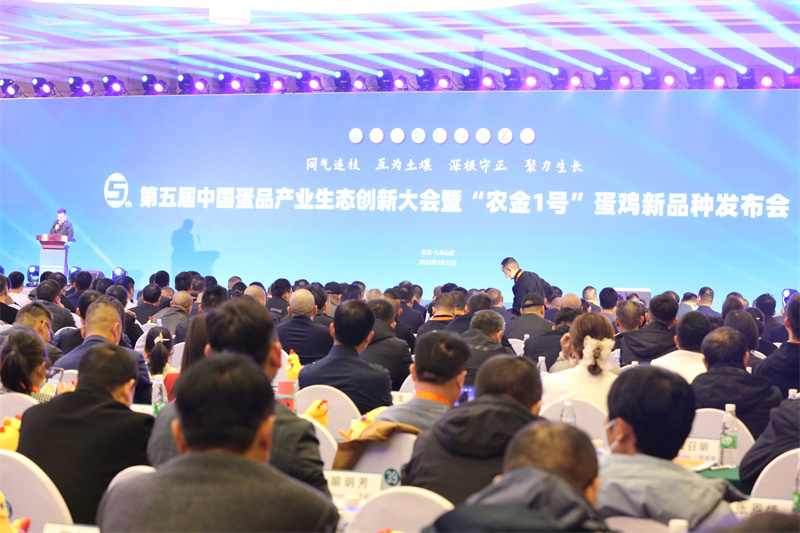 918.com(中国区)官方网站